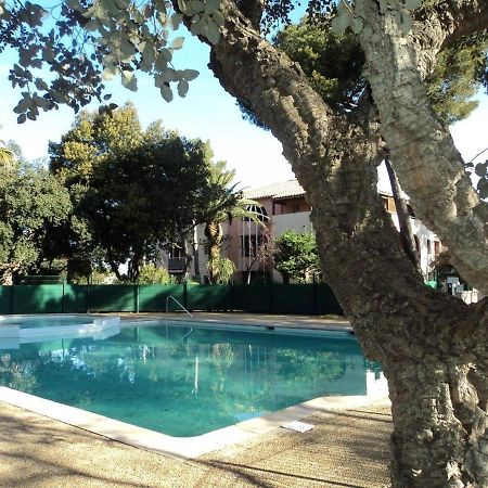 Studio Saint-Aygulf, 1 pièce, 4 personnes - FR-1-226A-89 Saint Aygulf Esterno foto